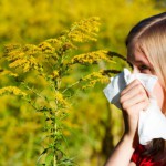 Pollenszűrő lakásba